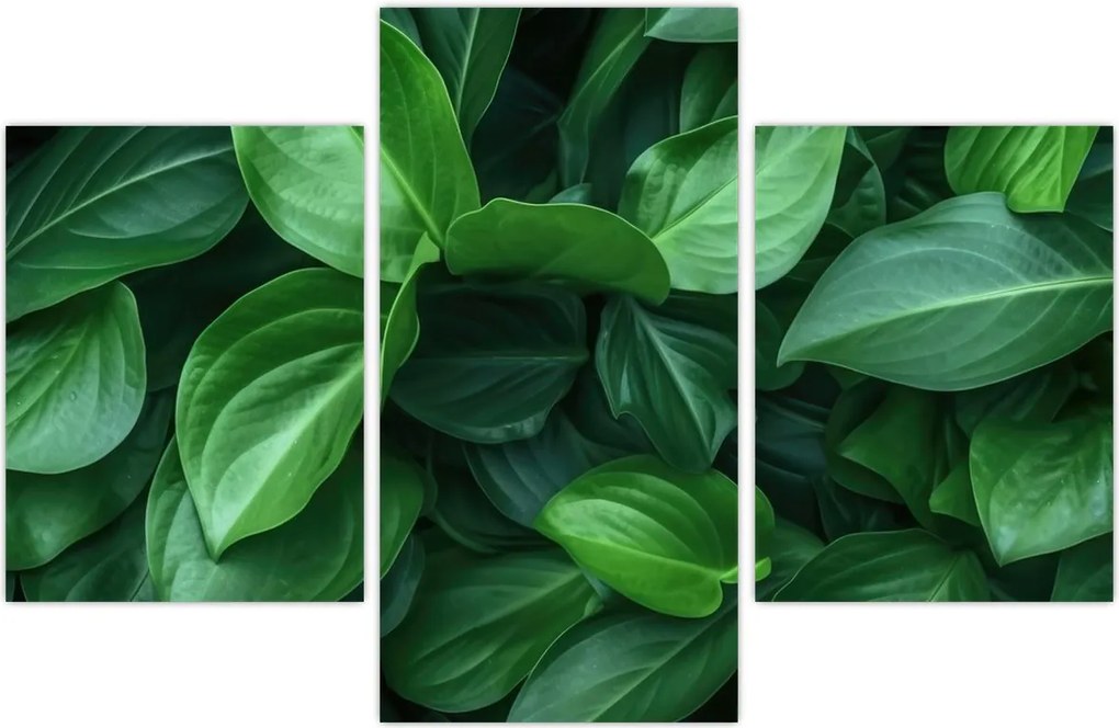 Tablou - Frunze verzi (90x60 cm)