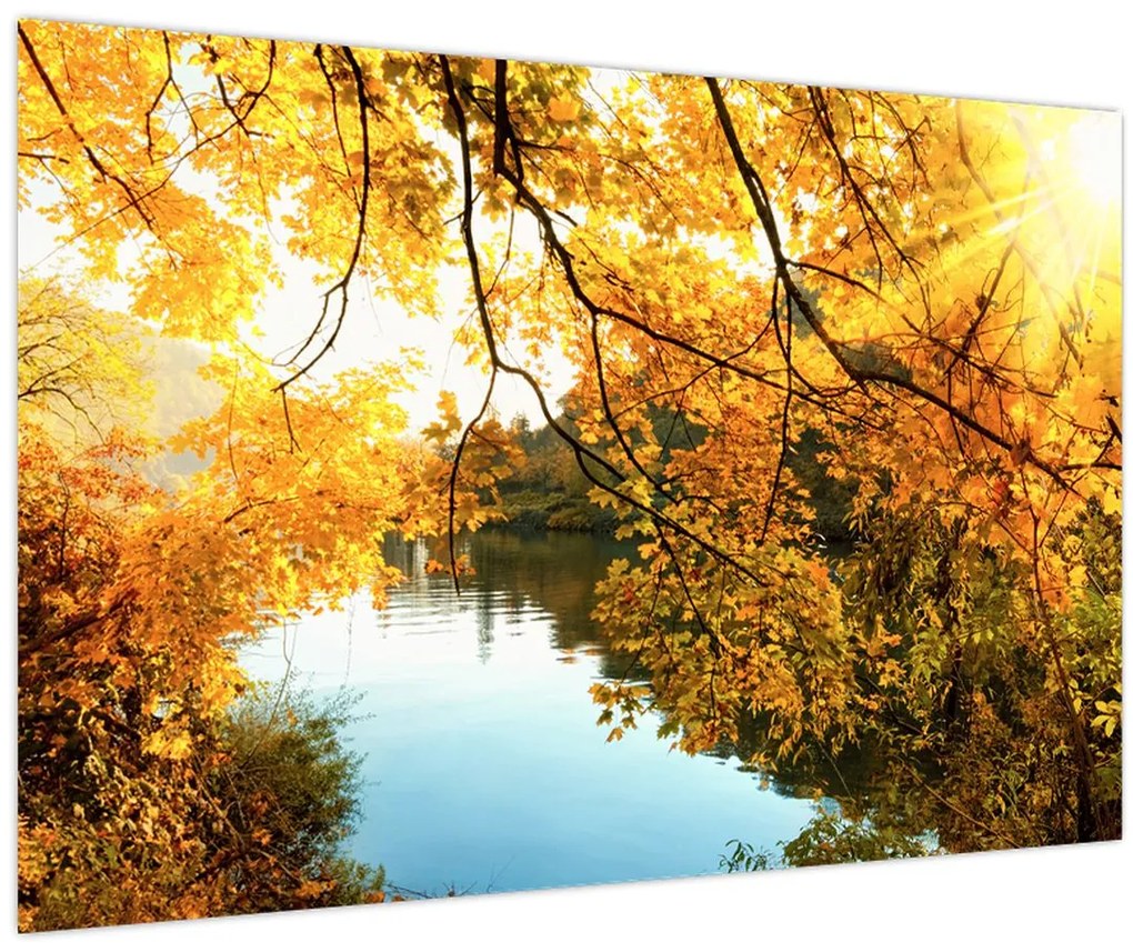 Tablou - Copac de toamnă (90x60 cm)