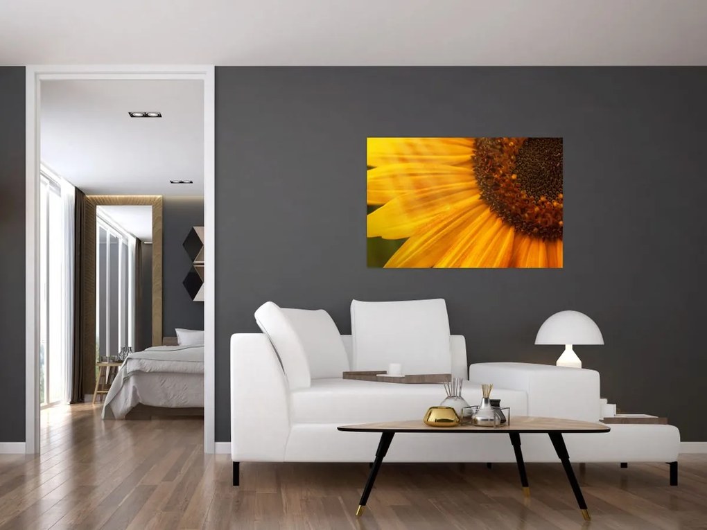 Tablou - Floarea-soarelui (90x60 cm)