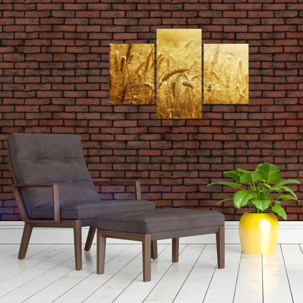 Tablou - Spice de cereale (90x60 cm)