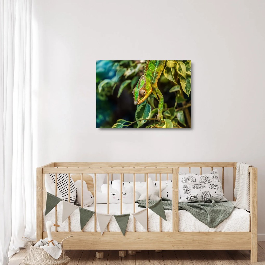 Tablou pe sticlă cu cameleon (70x50 cm)
