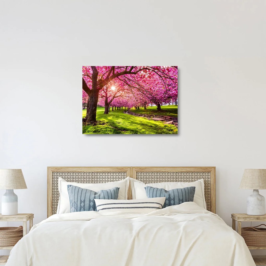 Tablou pe sticlă - Cireși înfloriți, Hurd Park, Dover, New Jersey (70x50 cm)