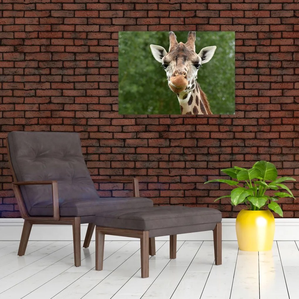 Tablou pe sticlă cu girafa (70x50 cm)