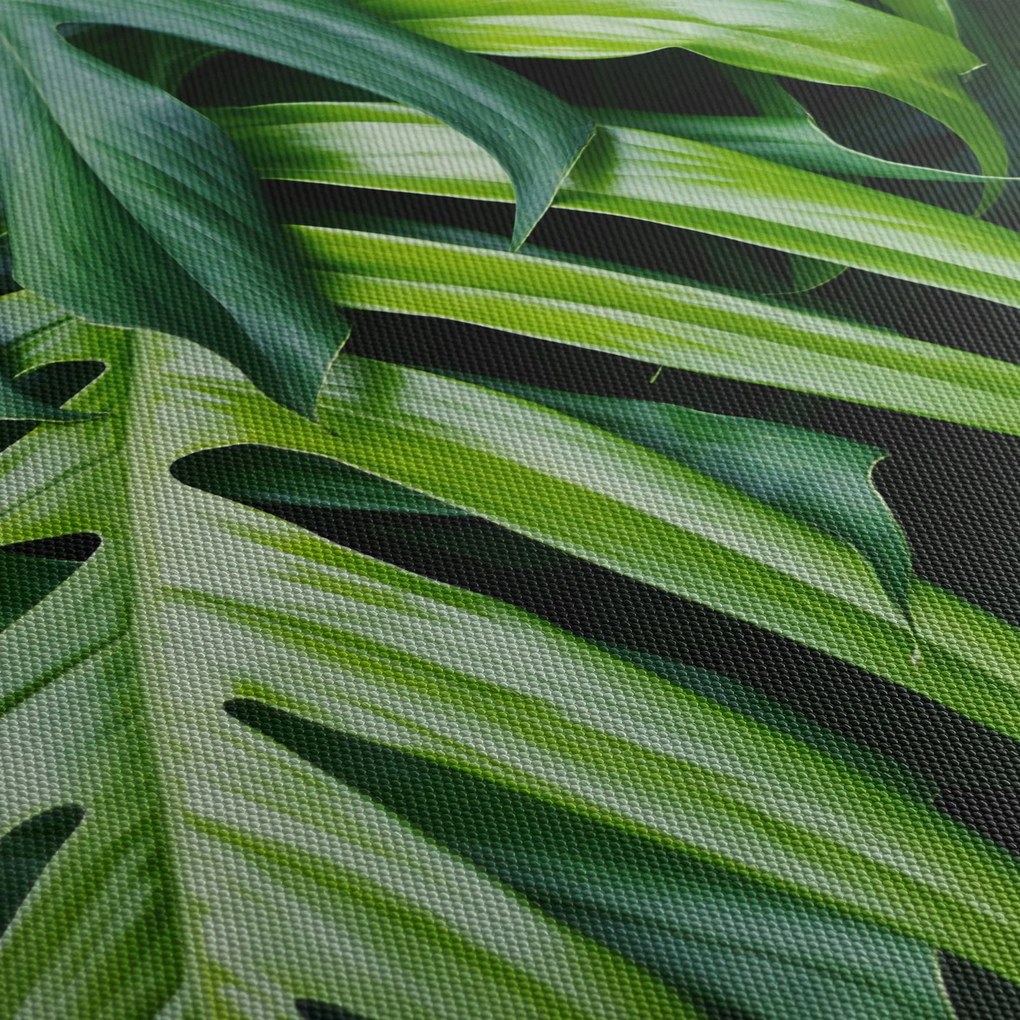 Tablou - Frunze tropicale (90x60 cm)