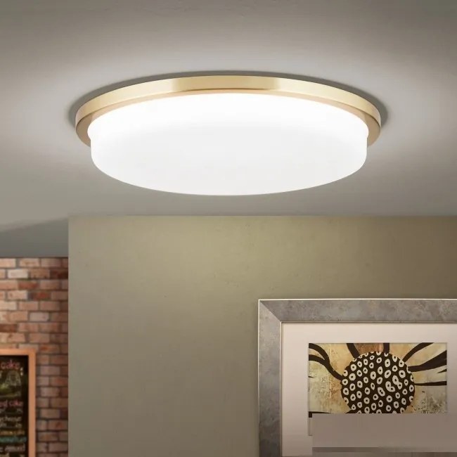 Plafoniera LED moderna LEROX Ã40cm alama mat