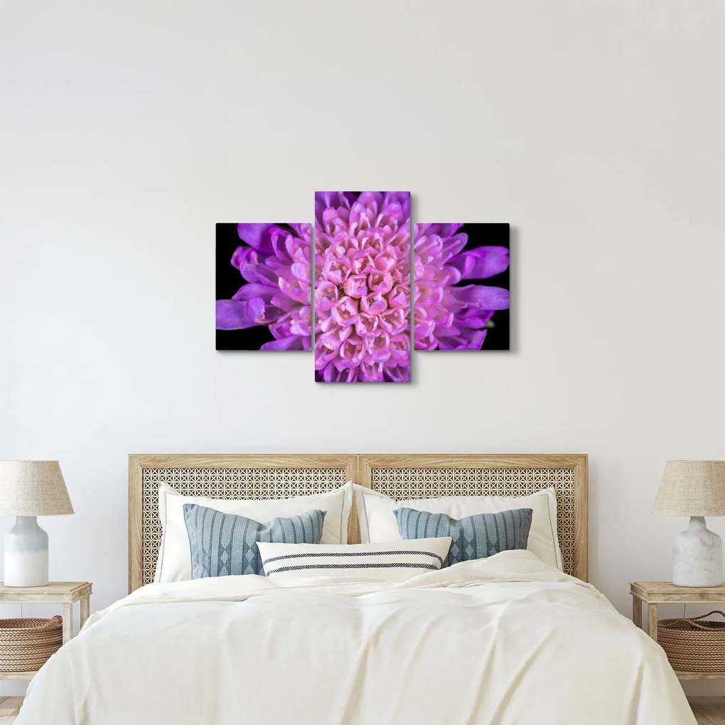 Tablou detailat cu floare (90x60 cm)