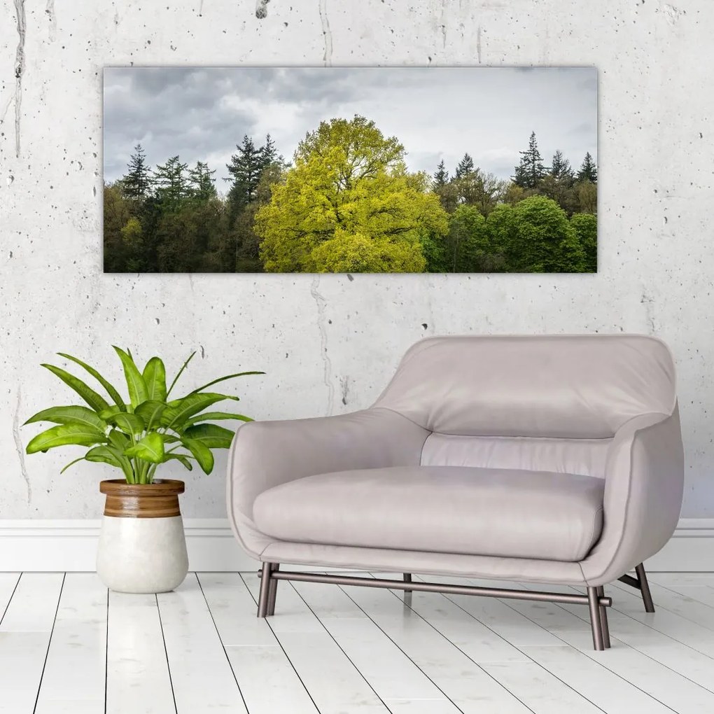 Tablou - Copac verde în câmp (120x50 cm)