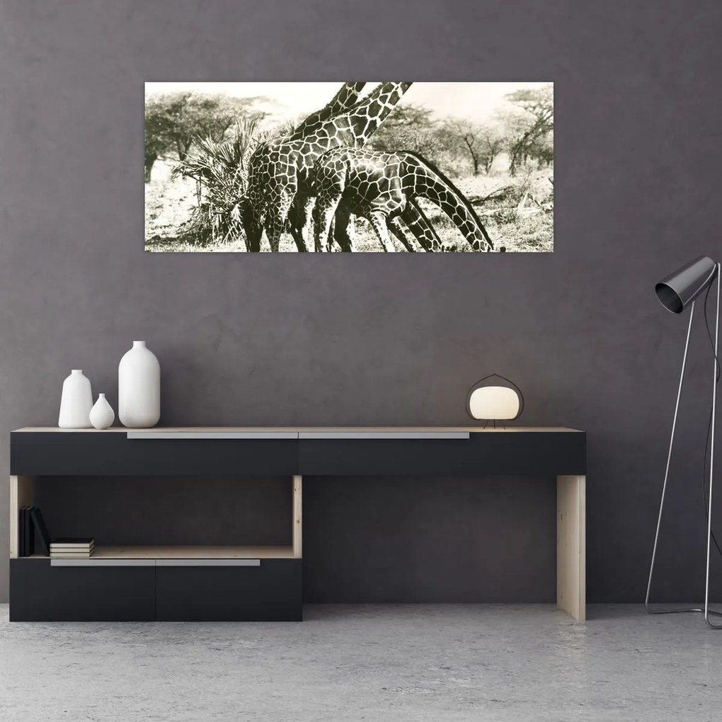 Tablou - Girafe, de epocă (120x50 cm)
