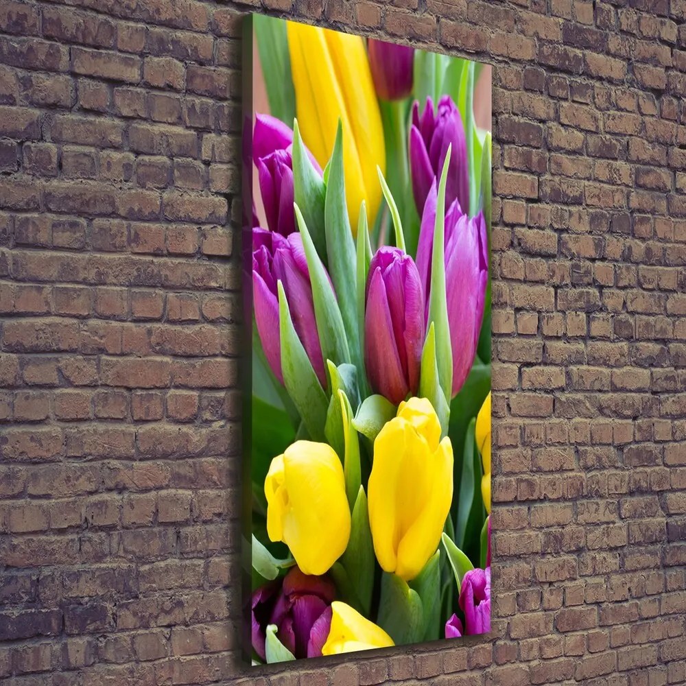 Tablou pe pânză canvas Lalele colorate