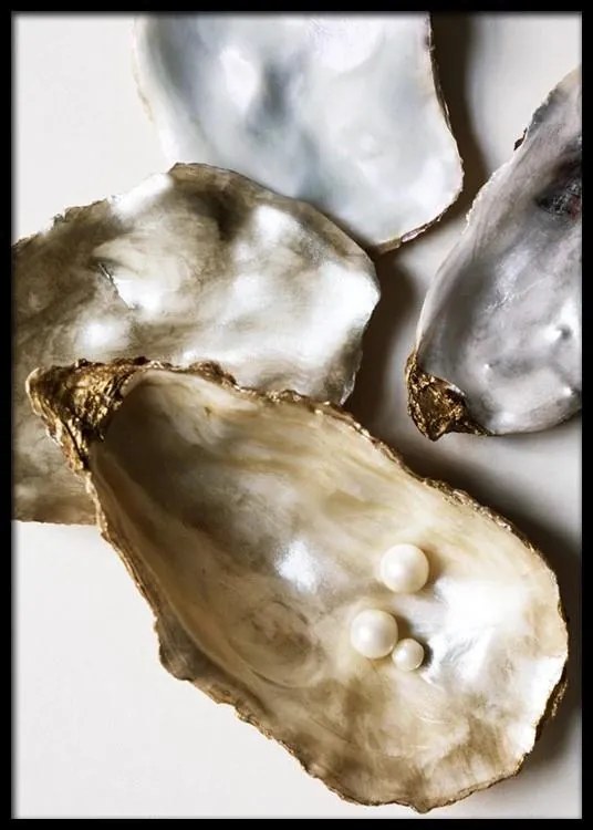 Poster oyster shells