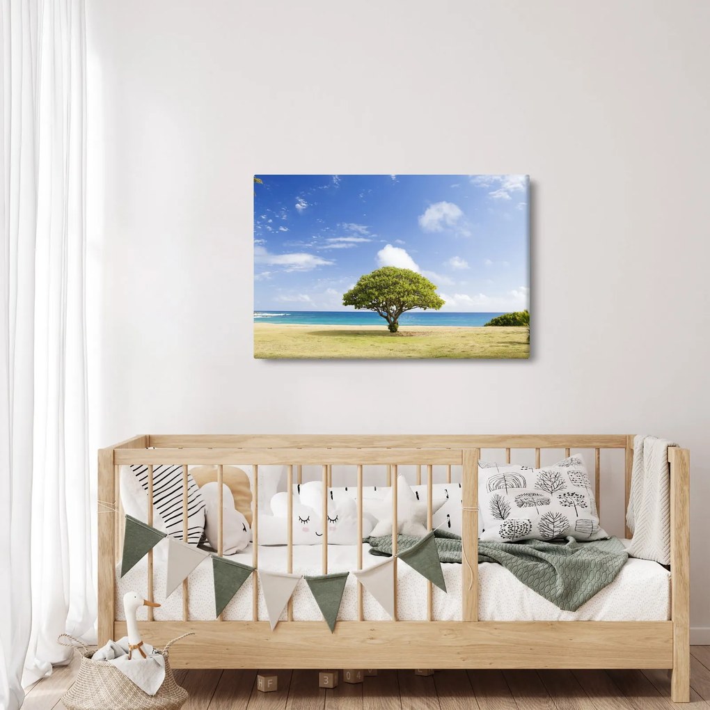 Tablou plaja cu copac (90x60 cm)