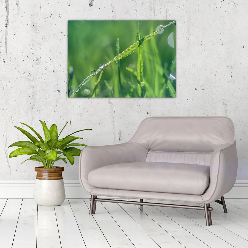 Tablou cu picături de rouă (70x50 cm)