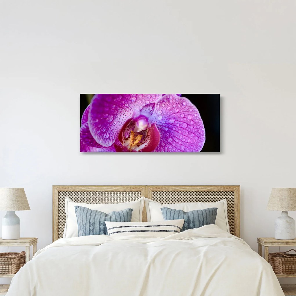 Tablou detailat cu floare de orhidee (120x50 cm)