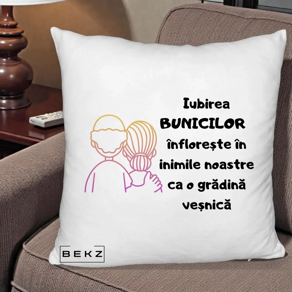 Cadou pentru Bunici - Perna Personalizata Iubirea Bunicilor Infloreste Cuplu Line Art Gradient, 40x40 cm, Alb Pufos, Husa Detasabila, Perna Inclusa, BEKZ®