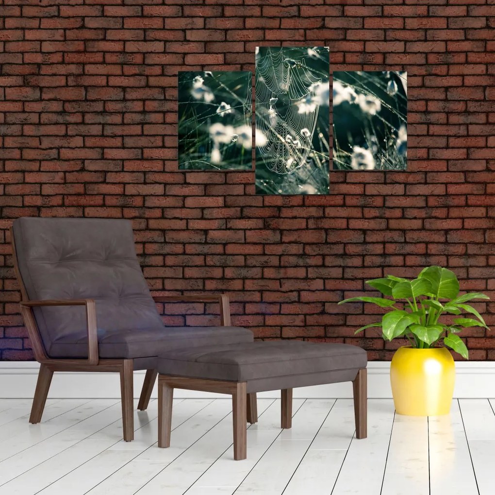 Tablou - Pânză de păianjen (90x60 cm)