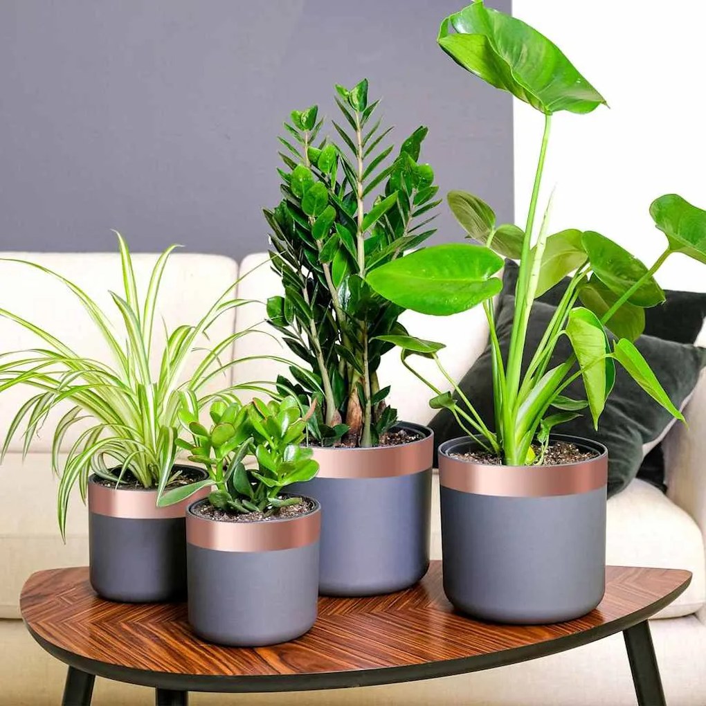 vidaXL Bandă din cupru 6 pcs Cupru 2000 x 5 cm Cupru