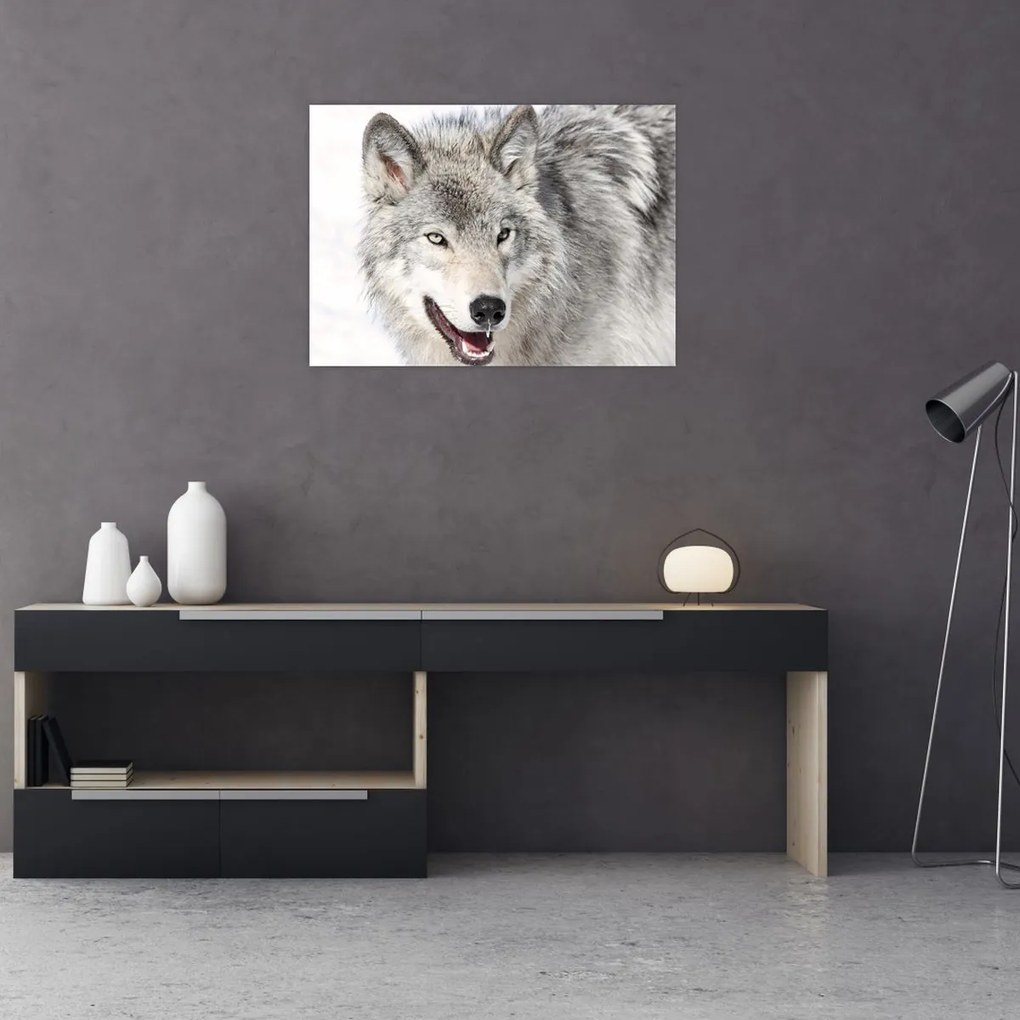 Tablou - Lupul în natură (70x50 cm)
