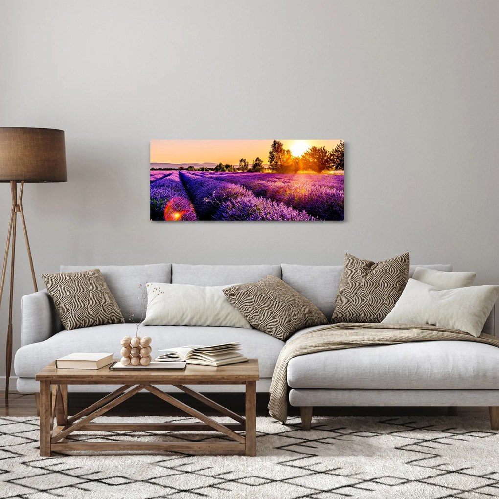 Tablou cu câmp de lavandă (120x50 cm)