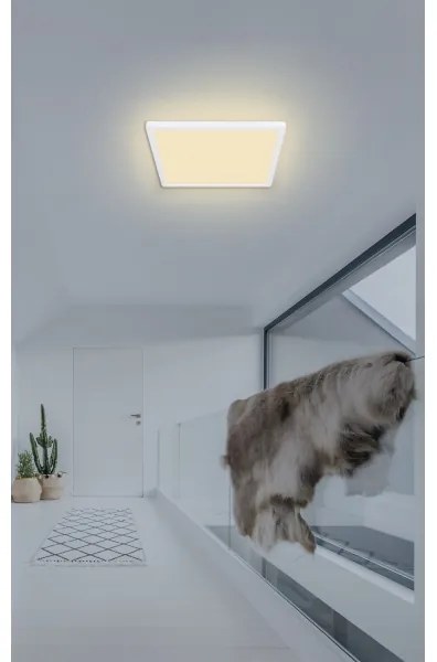 Plafonieră LED pentru baie Globo 41563-18W SAPANA LED/18W/230V IP44