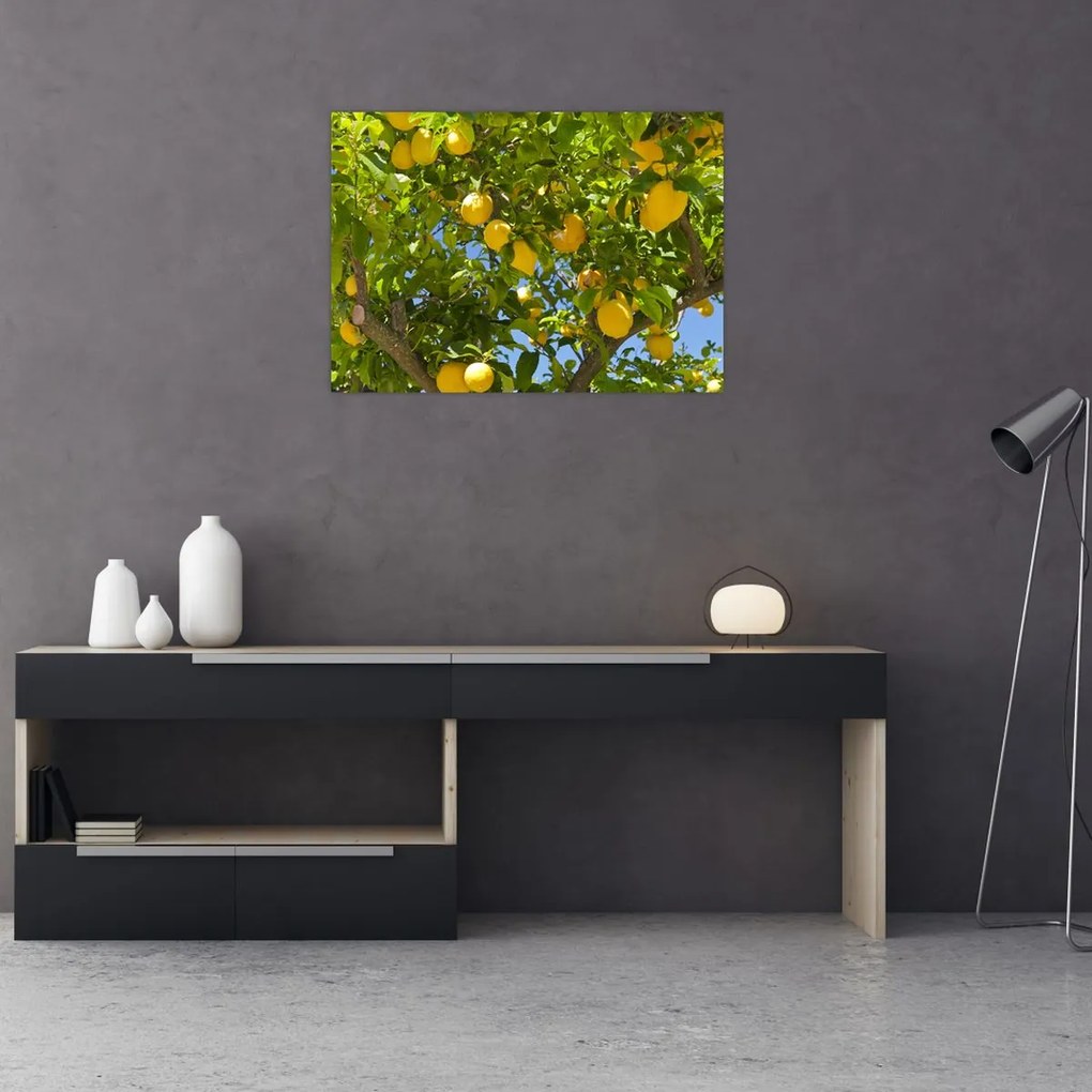 Tablou - Lămâiță (70x50 cm)