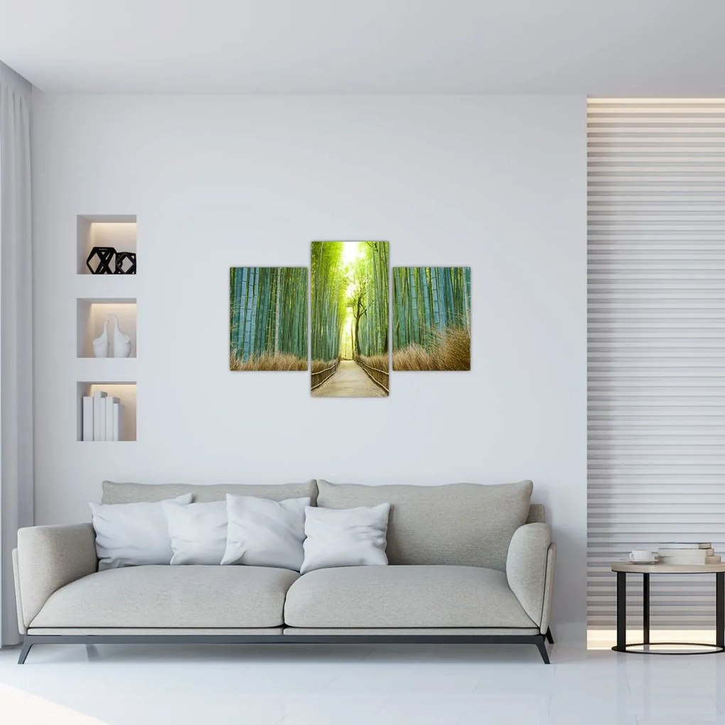 Tablou - Strada cu bambuși (90x60 cm)
