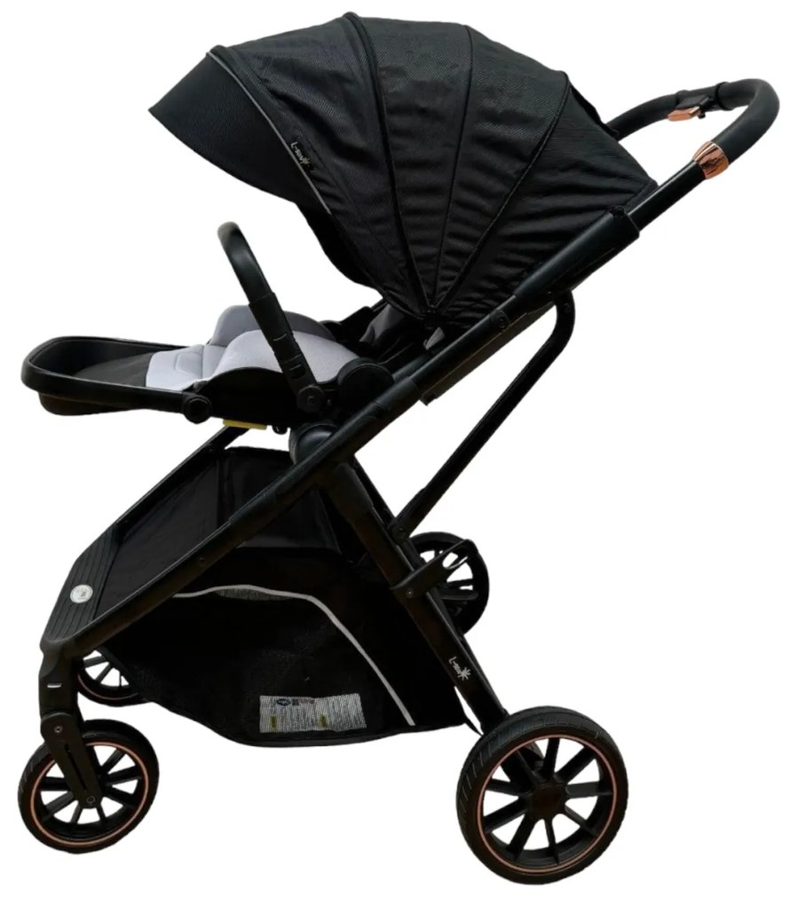 Carucior 2 in 1 pentru copii Usor si Compact - Pliabil, Sistem de absorbtie a socurilor, Scaun Reversibil - Negru - CPC-58-negru