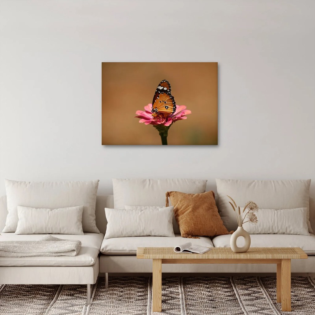 Tablou cu fluture pe floare (70x50 cm)