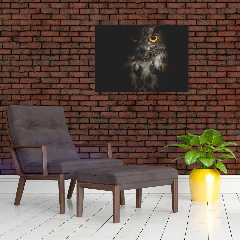 Tablou cu bufnița (70x50 cm)