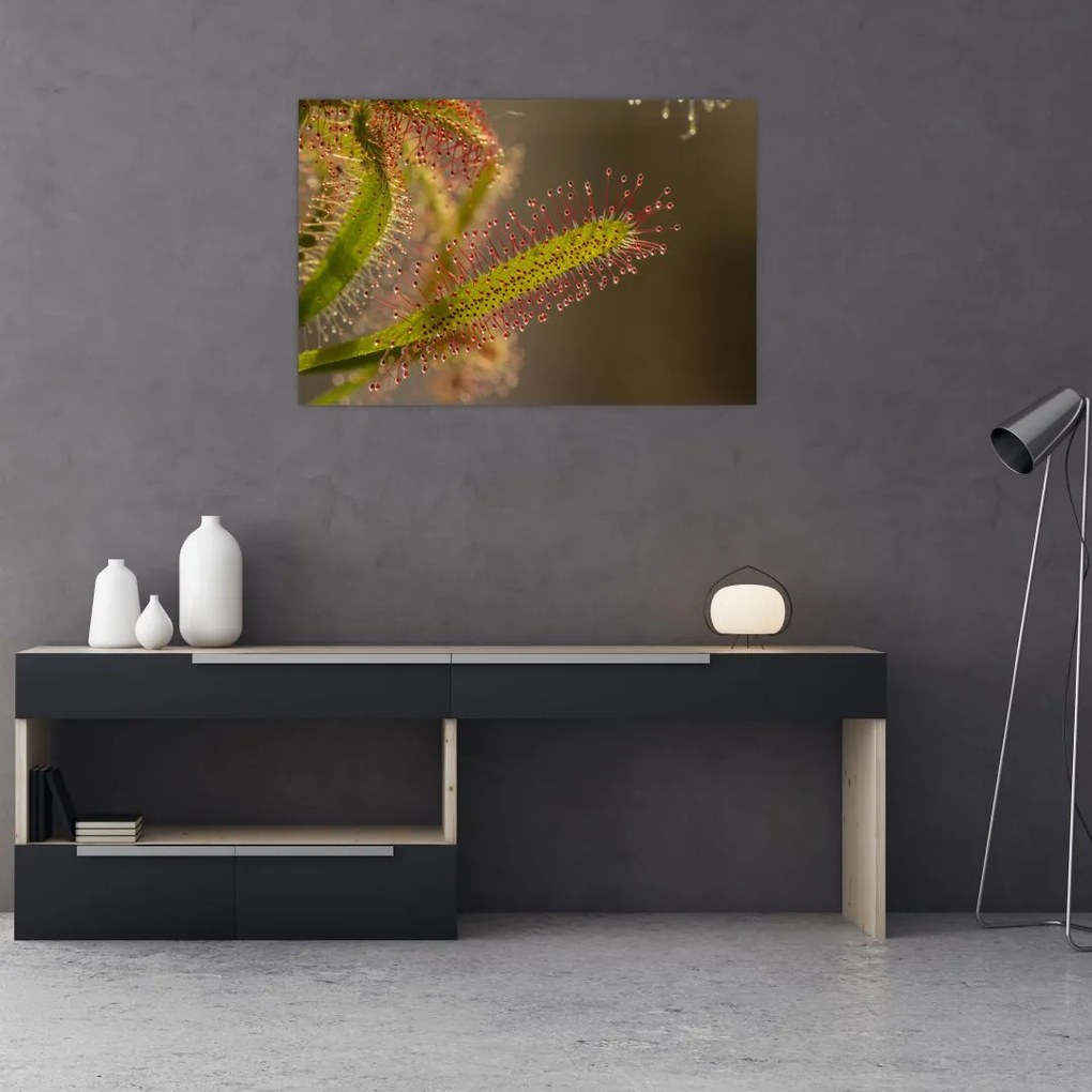 Tablou cu plantă (90x60 cm)