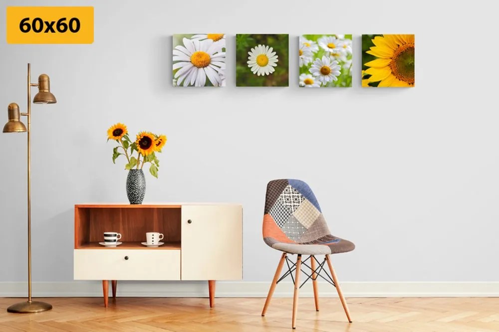 Set tablouri flori de luncă
