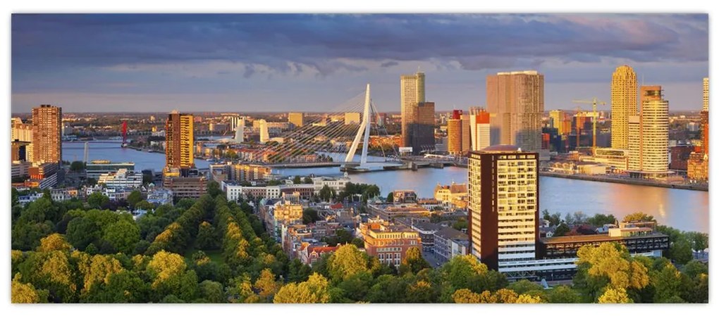 Tablou - Panorama Rotterdamului, Țările de Jos (120x50 cm)
