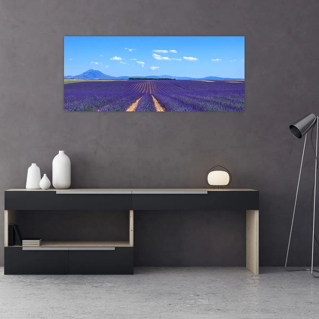 Tablou - Câmp de lavandă (120x50 cm)