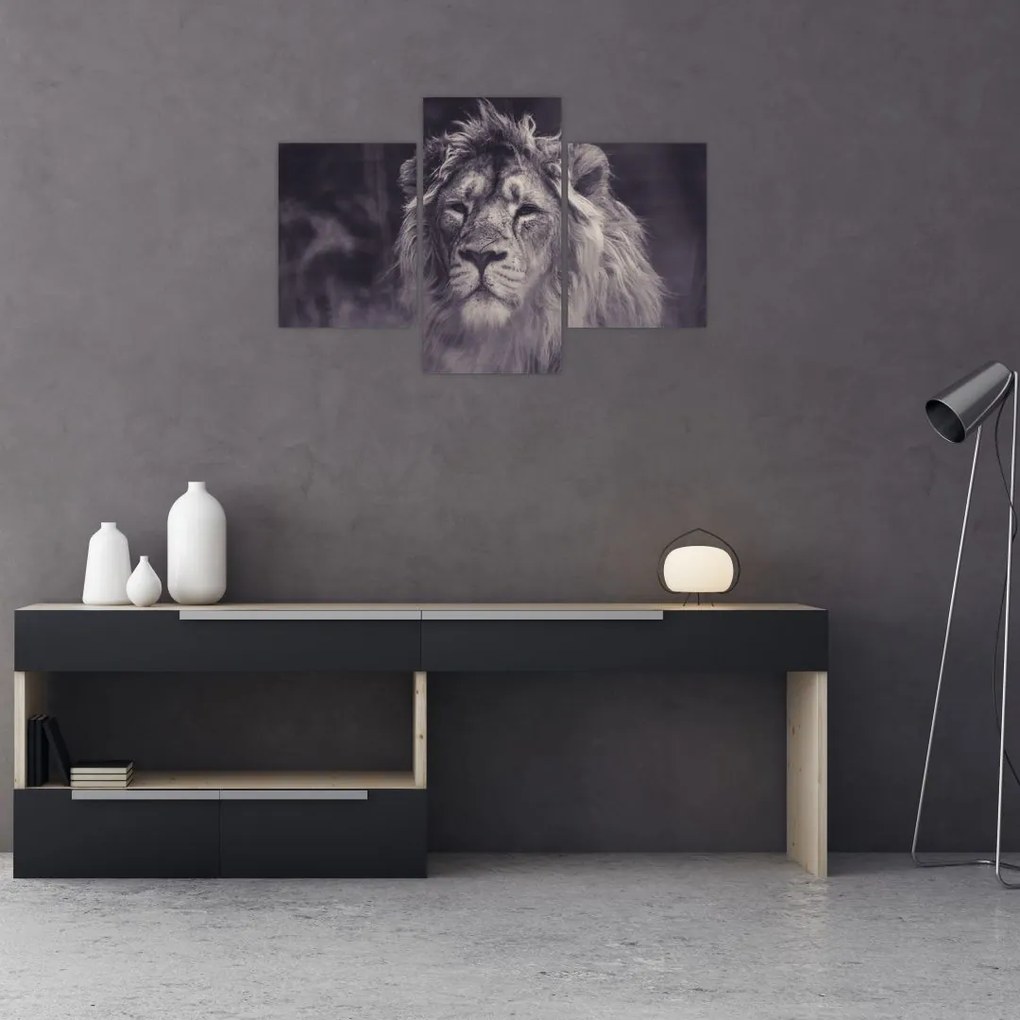 Tablou cu leu (90x60 cm)
