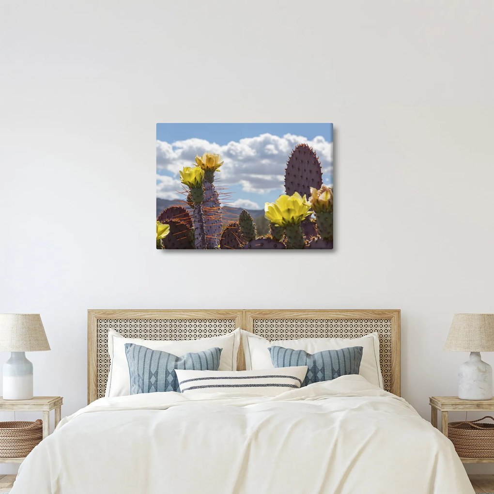 Tablou cu floarea de cactus Opunție (70x50 cm)
