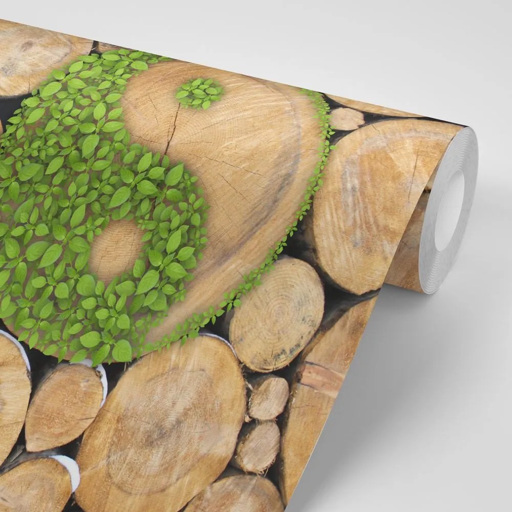 Fototapet Yin și Yang în design eco