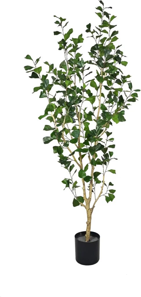 Copac artificial realist Ficus triangularis, dimensiuni multiple - PotteryPots mărimea: L - ø 45 cm | înălțime 180 cm