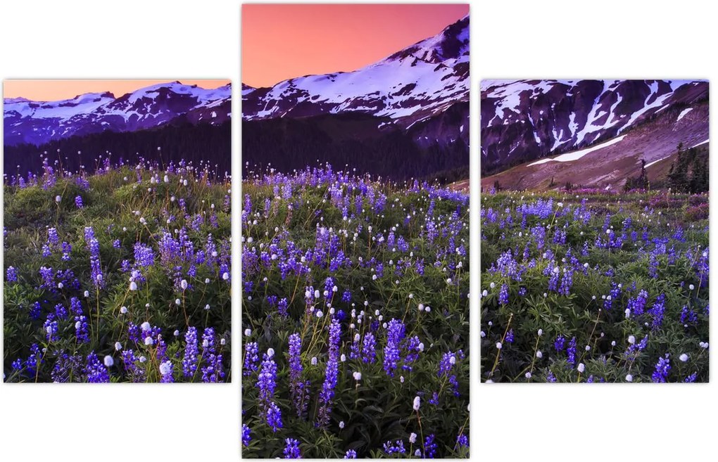 Tablou - Vulcan și flori (90x60 cm)