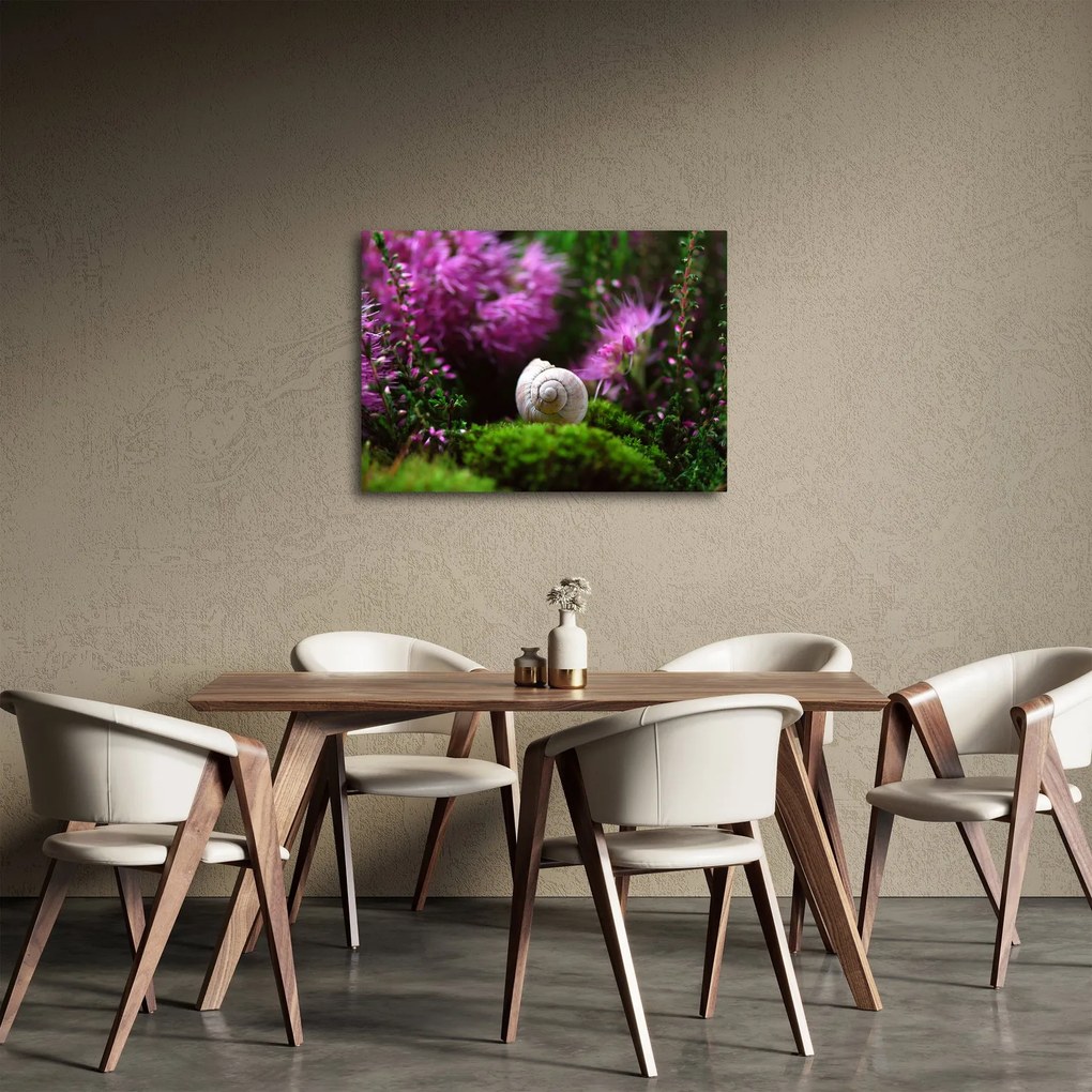 Tablou - Cochilie de melc (70x50 cm)