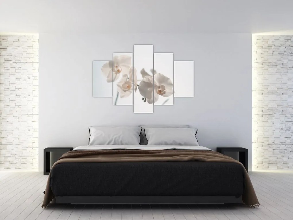 Tablou cu orhidee albă (150x105 cm)