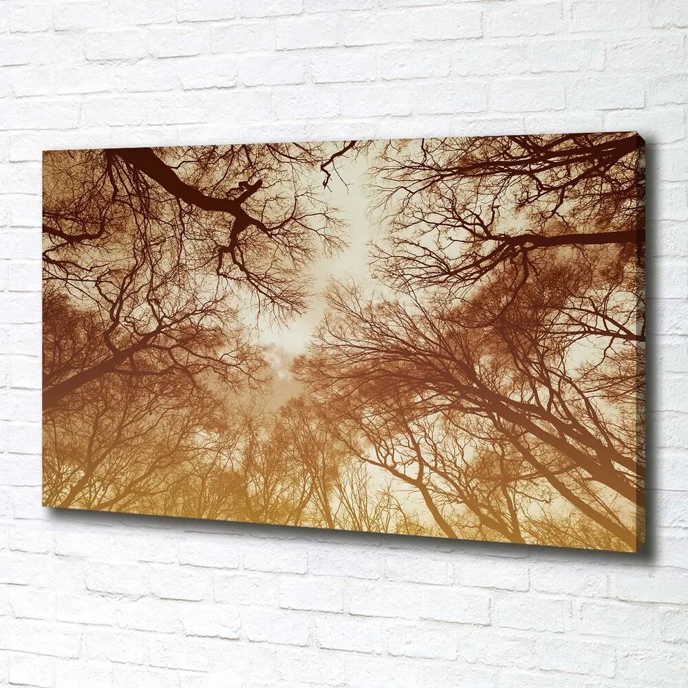 Print pe canvas Pădure