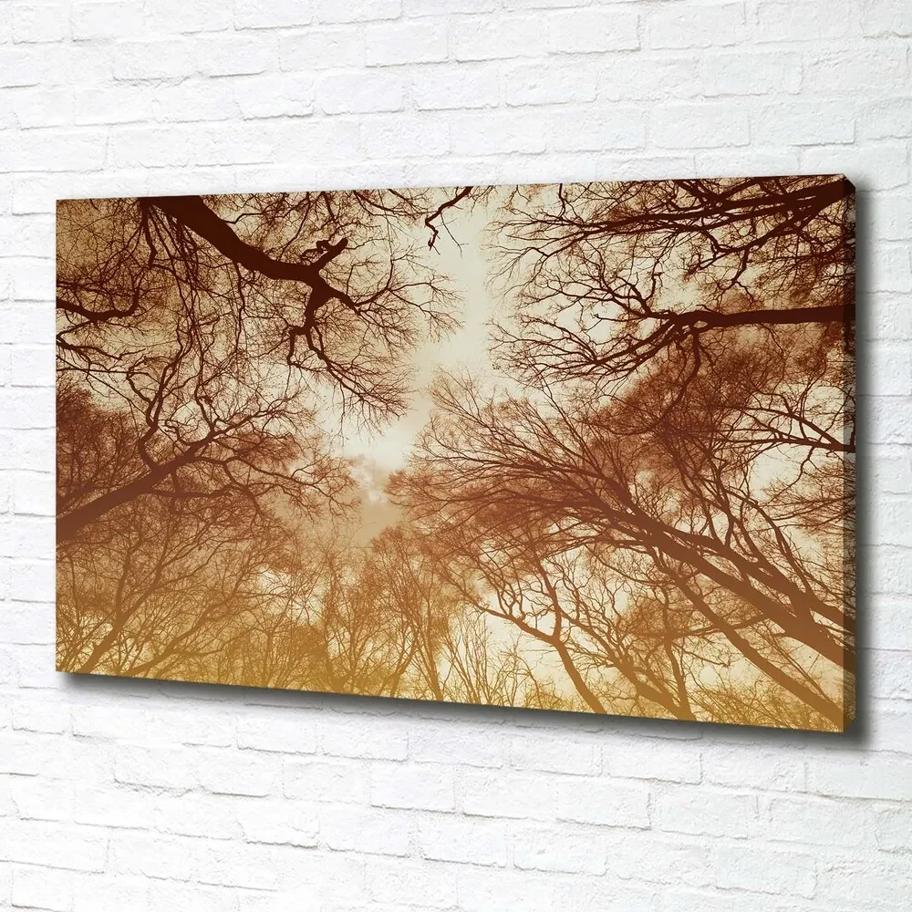 Print pe canvas Pădure