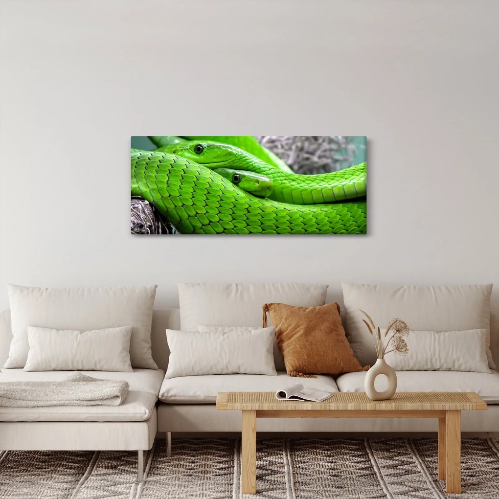 Tablou cu șerpi verzi (120x50 cm)