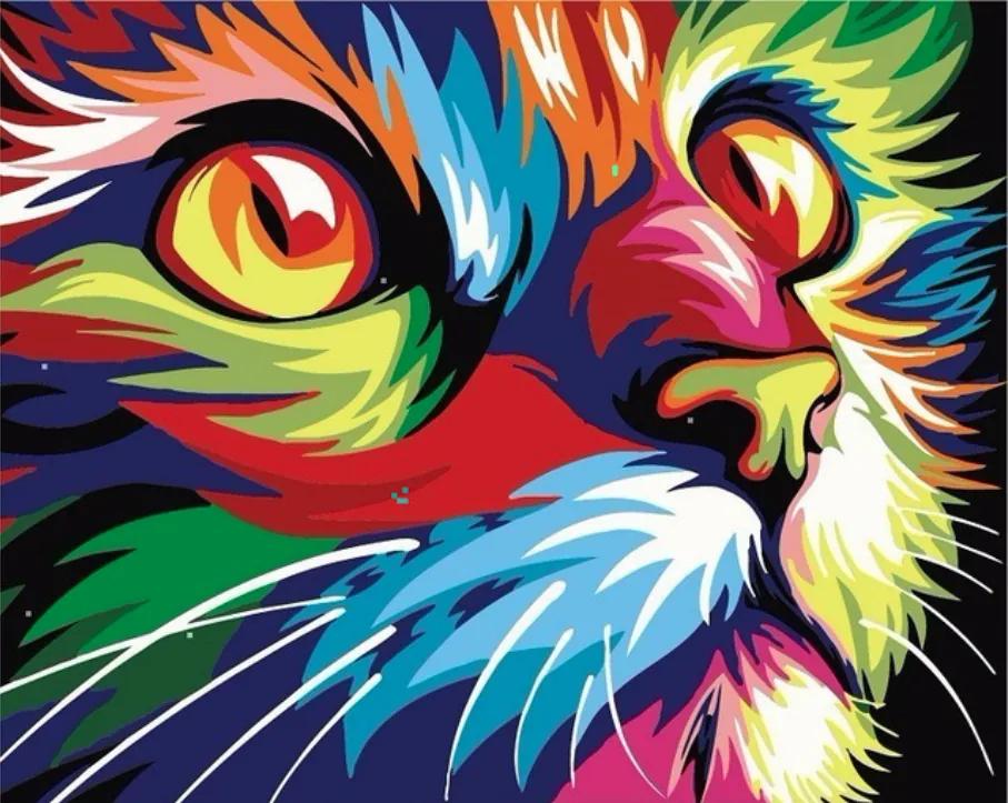 Pictura pe numere "Pisică colorată" 40x50 cm