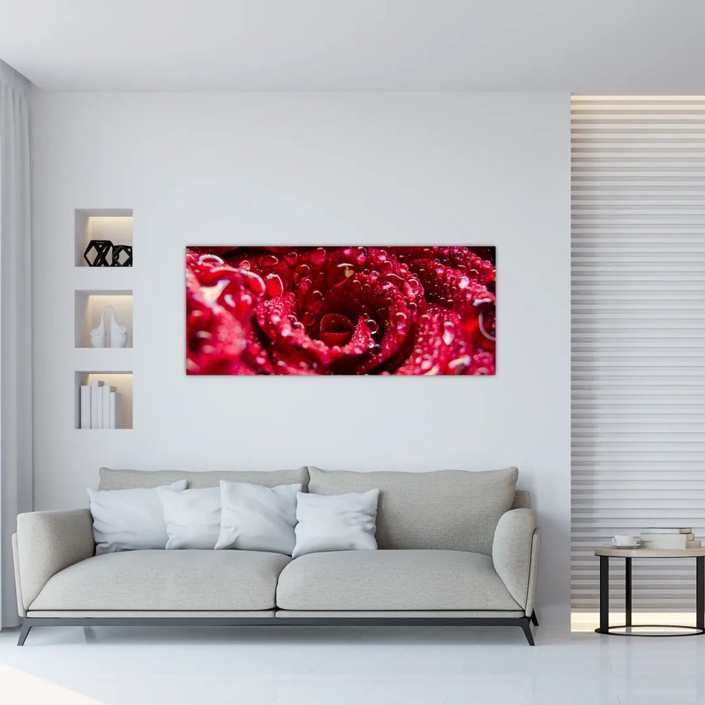 Tablou cu floarea trandafirului roșu (120x50 cm)
