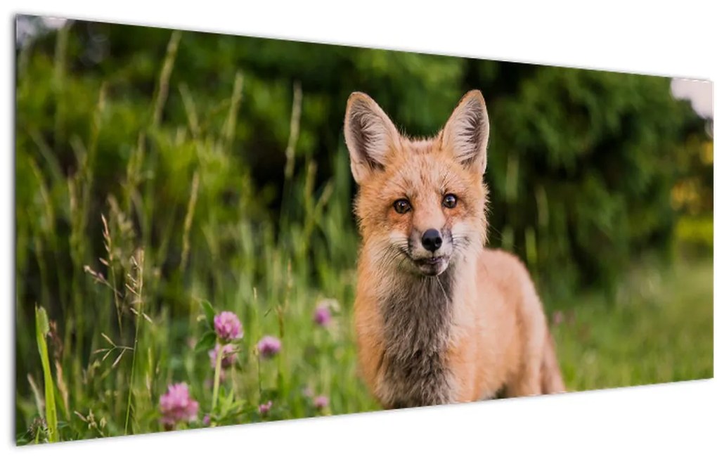 Tablou cu vulpe (120x50 cm)