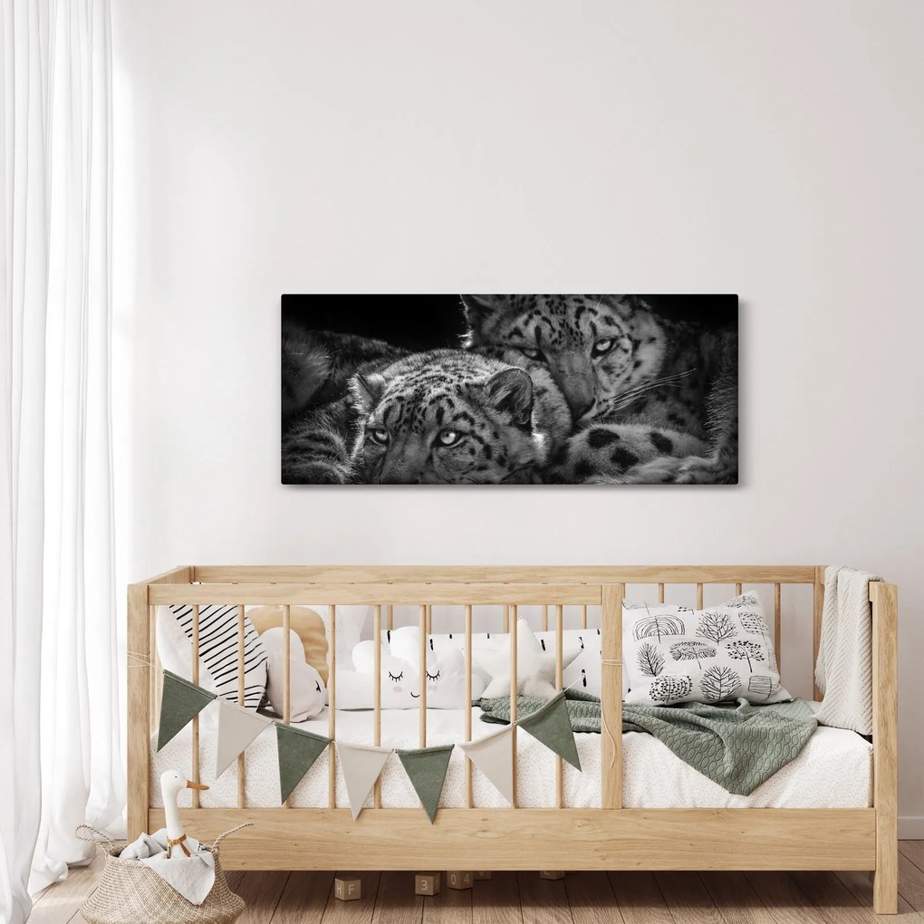 Tablou - Gheparzi care se odihnesc (120x50 cm)