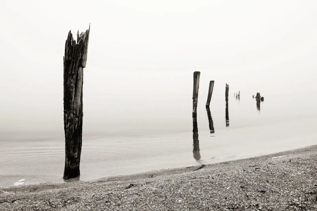 Tapet Shoreline, Rebel Walls