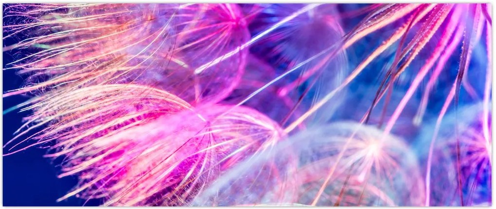 Tablou - Macro (120x50 cm)