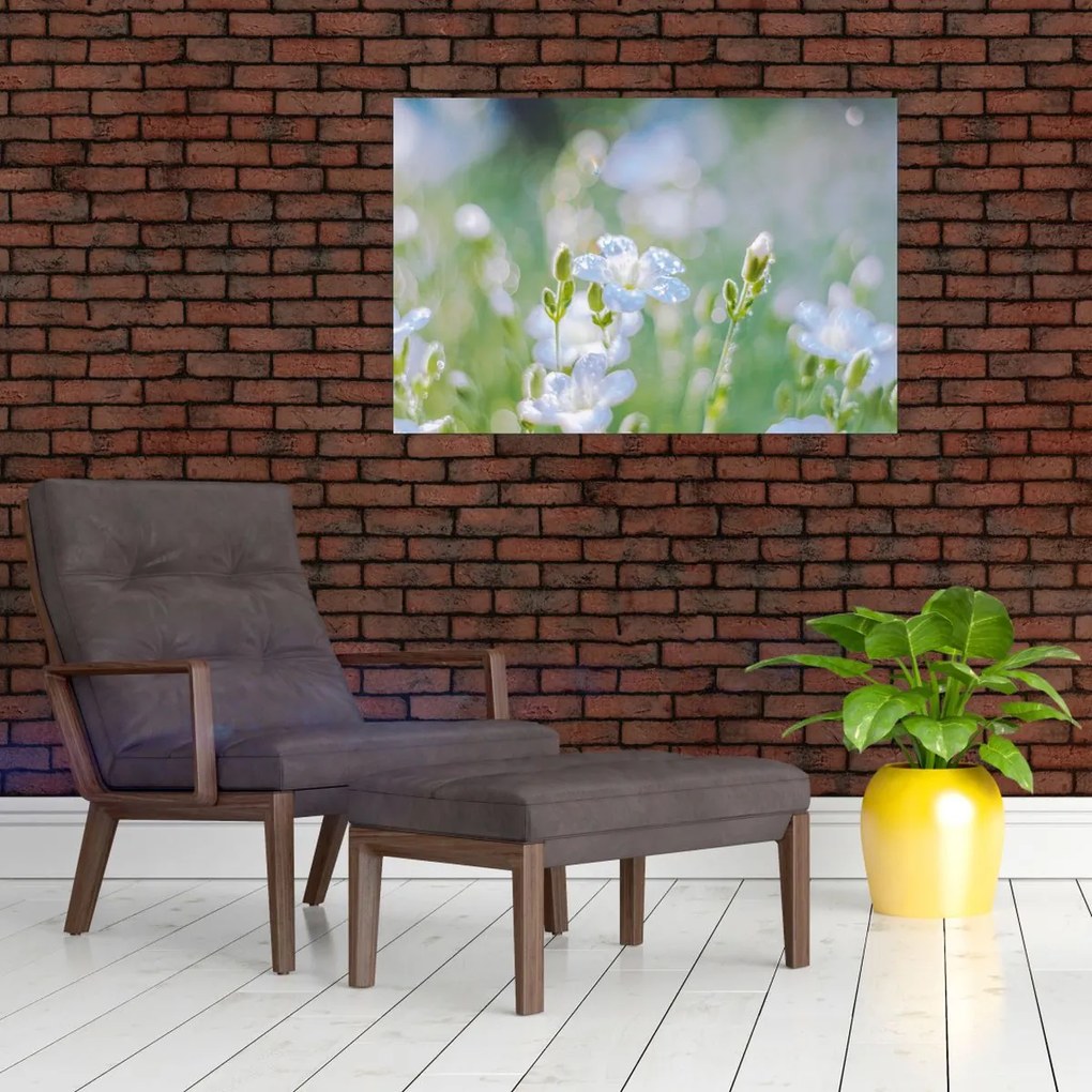 Tablou - Flori delicate (90x60 cm)