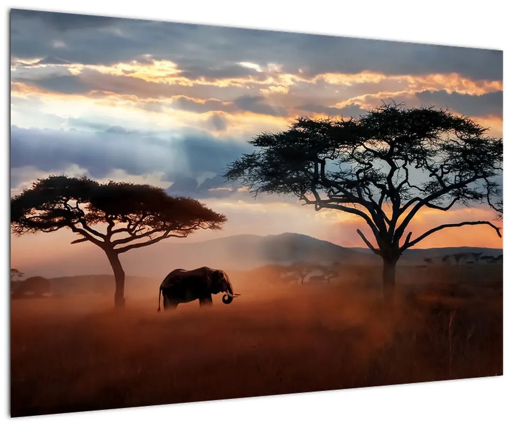 Tablou - Parcul Național Serengeti, Tanzania, Africa (90x60 cm)
